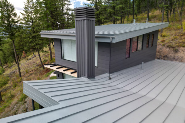 built-in-cricket-at-chimney-and-wall-locations